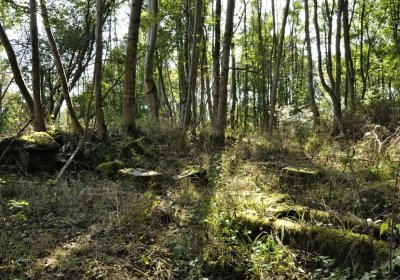 Sedláček Hugo, 2016