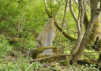 Sedláček Hugo, 2015