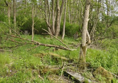 Sedláček Hugo, 2015