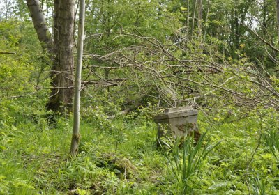 Sedláček Hugo, 2015