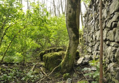 Sedláček Hugo, 2015