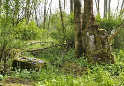 Sedláček Hugo, 2015