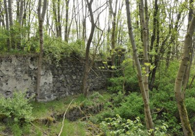 Sedláček Hugo, 2015