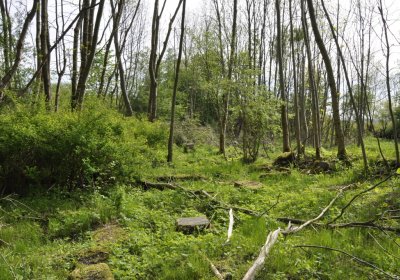 Sedláček Hugo, 2015