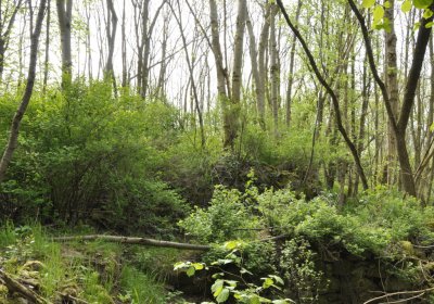 Sedláček Hugo, 2015