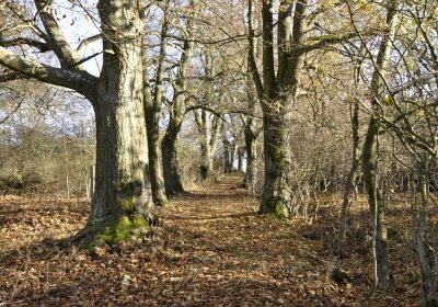Sedláček Hugo, 2016