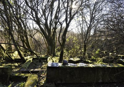 Sedláček Hugo, 2016