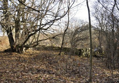 Sedláček Hugo, 2016