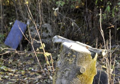 Sedláček Hugo, 2016