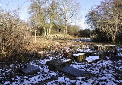 Sedláček Hugo, 2016