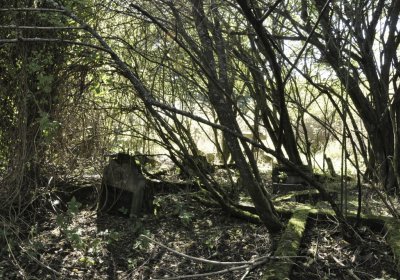 Sedláček Hugo, 2015