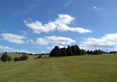 Kmínek Michal, 2019