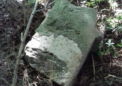 Kmínek Michal, 2019