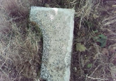 Kmínek Michal, 2019