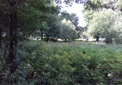 Kmínek Michal, 2019