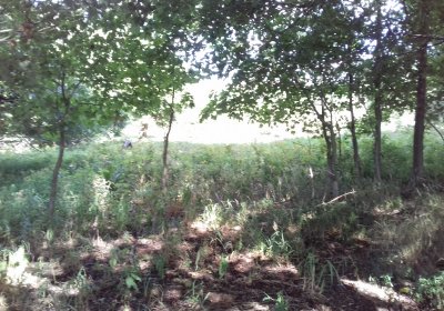 Kmínek Michal, 2019