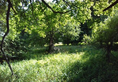 Kmínek Michal, 2019