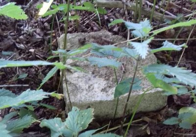 Kmínek Michal, 2019