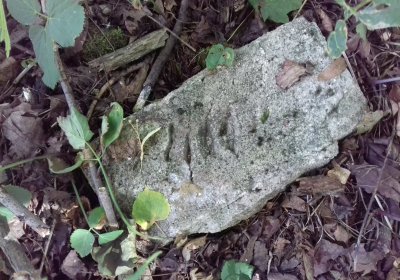 Kmínek Michal, 2019