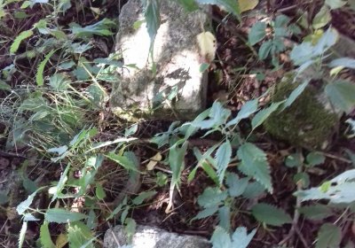 Kmínek Michal, 2019