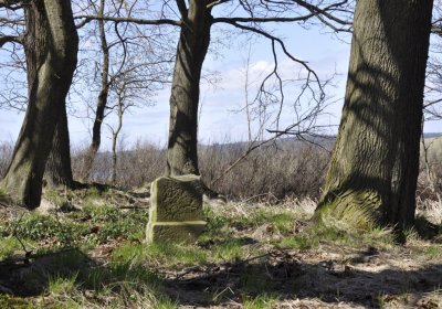 Sedláček Hugo, 2016