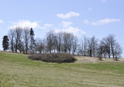 Sedláček Hugo, 2016