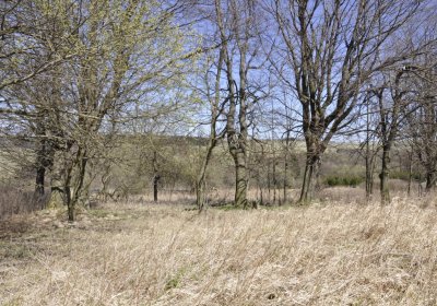 Sedláček Hugo, 2016