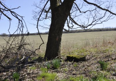 Sedláček Hugo, 2016