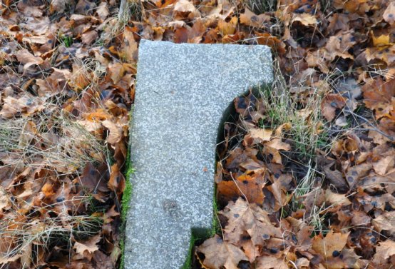 Rusová, Omnium, 2020