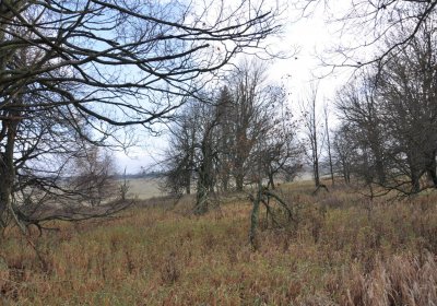 Rusová, Omnium, 2020