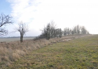 Rusová, Omnium, 2020