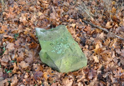 Rusová, Omnium, 2020