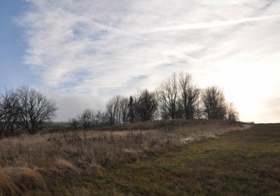 Rusová, Omnium, 2020