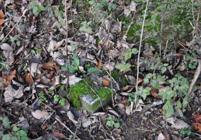 Rusová, Omnium, 2020