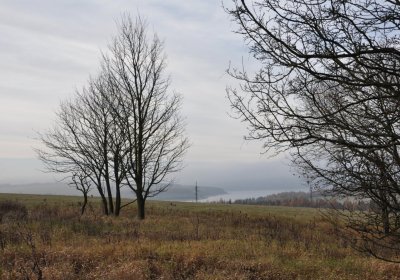 Rusová, Omnium, 2020