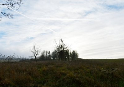 Rusová, Omnium, 2020