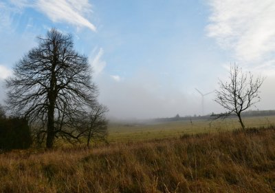 Rusová, Omnium, 2020