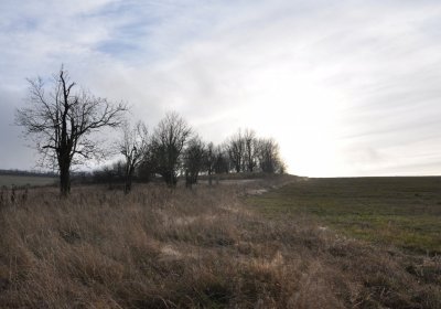 Rusová, Omnium, 2020