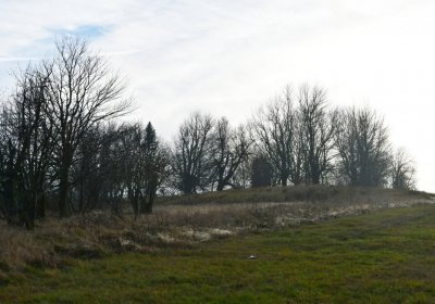 Rusová, Omnium, 2020