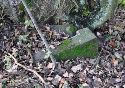 Rusová, Omnium, 2020