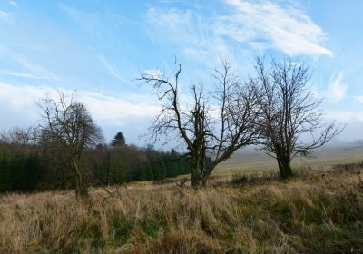 Rusová, Omnium, 2020