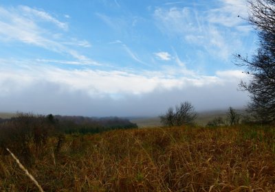 Rusová, Omnium, 2020