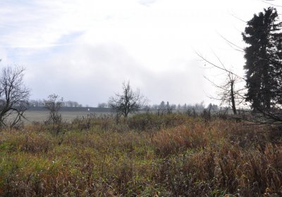 Rusová, Omnium, 2020