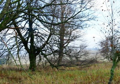 Rusová, Omnium, 2020