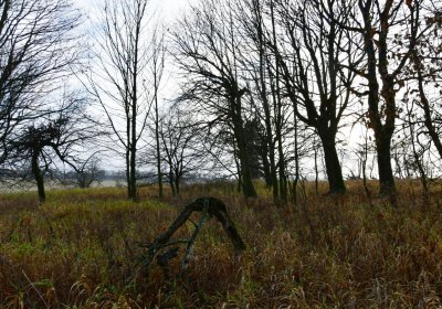 Rusová, Omnium, 2020