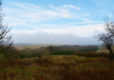 Rusová, Omnium, 2020