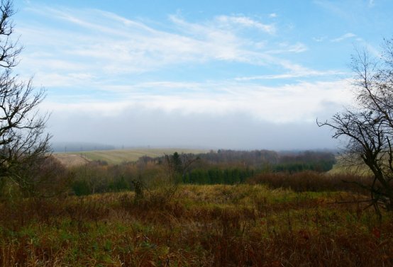 Rusová, Omnium, 2020