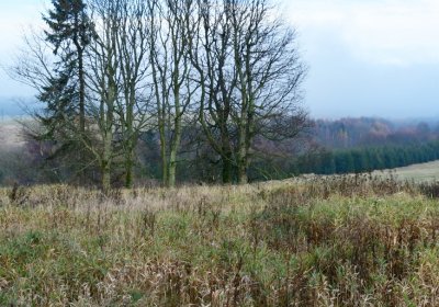 Rusová, Omnium, 2020