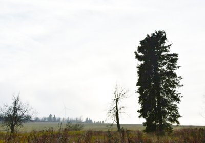 Rusová, Omnium, 2020