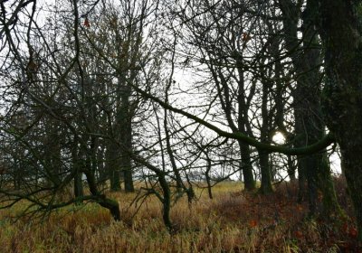 Rusová, Omnium, 2020